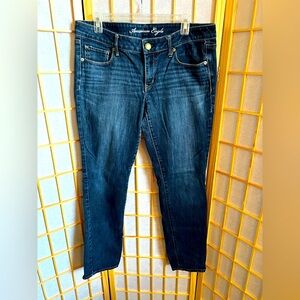 American Eagle Outfitters Blue Skinny Jeans